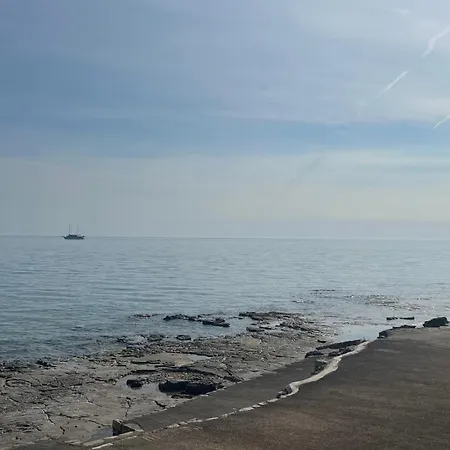 Maktub Novigrad Istria