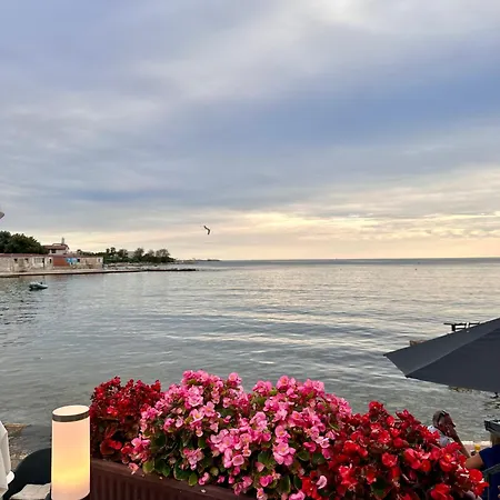Maktub Novigrad (Istria)